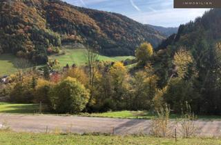 Grundstück zu kaufen in Kirchensiedlung, 3211 Loich, | BERGBLICK | SÜDÖSTLICH AUSGERICHTET | RÜCKZUGSORT IN DER NATUR | SONNIGES BAUGRUNDSTÜCK