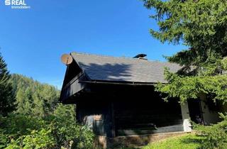 Haus kaufen in 8163 Fladnitz an der Teichalm, Sehr seltene Gelegenheit: Großes Grundstück mit Ferienhaus auf der Teichalm