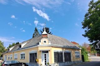 Einfamilienhaus kaufen in 7031 Krensdorf, Altbaujuwel mit idyllischem Garten