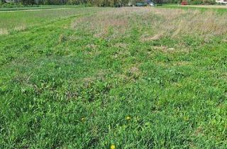 Gewerbeimmobilie kaufen in 2492 Zillingdorf, Grünes Paradies zum Kaufen: Landwirtschaft in Niederösterreich