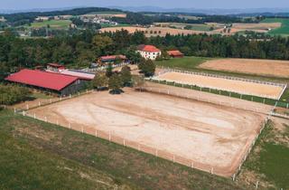 Haus kaufen in 3244 Ruprechtshofen, Exklusive Reitanlage mit laufendem Einstellbetrieb in idyllischer Lage