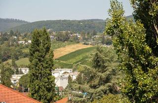 Wohnung kaufen in Felix-Dahn-Straße, 1190 Wien, WEINBERGE und WIENBLICK: Schöner können Sie nicht wohnen!