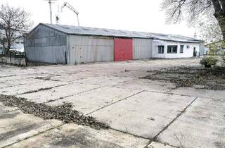 Büro zu mieten in 2440 Gramatneusiedl, 590 m² LAGERHALLE - auch Teilflächen - zu mieten