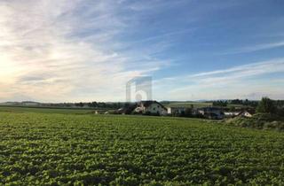 Grundstück zu kaufen in 4720 Neumarkt im Hausruckkreis, SONNIGE RUHELAGE MIT SUPER INFRASTRUKTUR