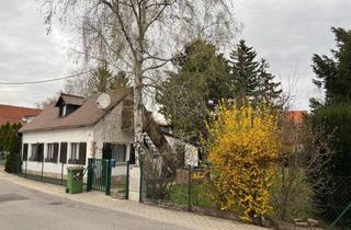 Haus mieten in Kalsergasse 13, 1210 Wien, gemütliches Einfamilienhaus