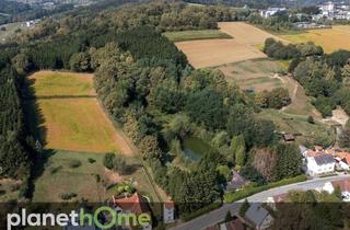 Haus kaufen in 7551 Stegersbach, Direkte Thermennähe in Stegersbach – Traumobjekt mit Altbestand, Fischteich und Wald