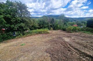 Grundstück zu kaufen in Hühnersteigstraße, 1140 Wien, Traumhaftes Baugrundstück + Waldbestand in idyllischer Lage im Augustinerwald - erfüllen Sie sich Ihren Traum vom Eigenheim ***