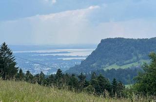 Grundstück zu kaufen in 3371 Buch, Einzigartiges Grundstück in Buch mit Rundumblick bis zum Bodensee