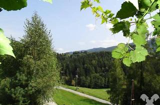 Bauernhäuser zu kaufen in 8552 Eibiswald, Idyllisches Refugium mit Aussicht