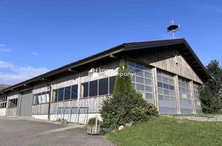 Lager mieten in 5201 Seekirchen am Wallersee, (Gewerbe-)Lager im Trumer-Seen-Gebiet zu vermieten - 420m² für 2.940,00 €/Monat!