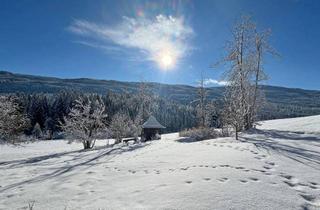 Bauernhäuser zu kaufen in 5580 Tamsweg, Winterwonderland im Salzburger Lungau - Einzigartiges historisches Bauernhaus mit modernem Komfort in Alleinlage