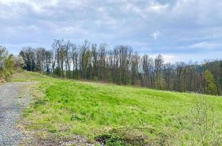 Grundstück zu kaufen in 8074 Raaba, +++ FERNBLICK +++ großzügiges Grundstück mit Aussichtslage in Raaba