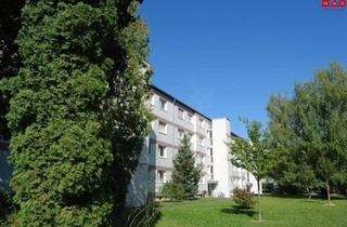 Wohnung mieten in Zibermayrstraße 23, 4020 Linz, Familienfreundliches Wohngebiet Oed/Bindermichl! Großzügige 3-Raum-Wohnung mit Loggia in Oed! Zentrumsnahe und ruhige Grünlage! Provisionsfrei!