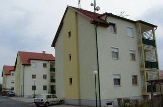 Wohnung mieten in 7561 Heiligenkreuz im Lafnitztal, NEUER PREIS! Wohnung in Heiligenkreuz