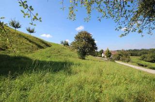 Grundstück zu kaufen in 8323 Krumegg, Sonniges Grundstück mit Aussicht