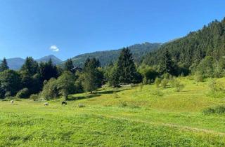 Grundstück zu kaufen in 8953 Donnersbachwald, Wohnen im Herzen der Alpen – Baugrundstück in malerischer Umgebung in Donnersbachwald.