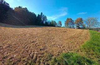 Grundstück zu kaufen in 8083 Sankt Stefan im Rosental, Bauträger aufgepasst: Großes Grundstück für Ihr Bauvorhaben!