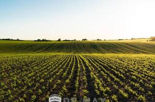 Immobilie kaufen in 2325 Himberg, "Biologische Landwirtschaft!"