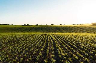 Gewerbeimmobilie kaufen in 2325 Himberg, "Biologische Landwirtschaft!"