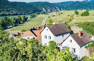 Haus kaufen in 3601 Dürnstein, Doppelhaus in der Wachau