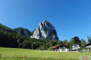 Gewerbeimmobilie kaufen in 5600 Sankt Johann im Pongau, Bergbauernhof in Alleinlage!