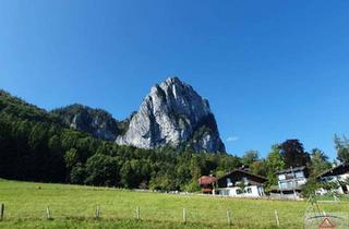 Gewerbeimmobilie kaufen in 5600 Sankt Johann im Pongau, Bergbauernhof in Alleinlage!