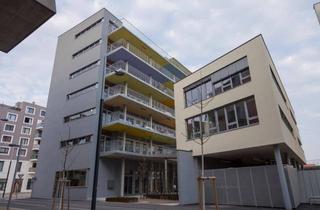 Büro zu mieten in Maria-Tusch-Straße 8 Stiege 2, 1220 Wien, Helles 60 m² Business-Loft in der Seestadt Aspern (1220)