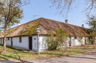 Haus mieten in 7121 Weiden am See, Ferienhäuser im ROSENHOF im Seepark Weiden langfristig zu mieten