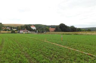 Grundstück zu kaufen in 2124 Niederkreuzstetten, Traumhafte Baugrundstücke Mitten im Weinviertel