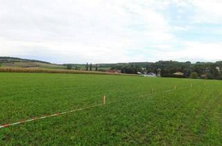 Grundstück zu kaufen in 2124 Niederkreuzstetten, Traumhafte Baugrundstücke Mitten im Weinviertel