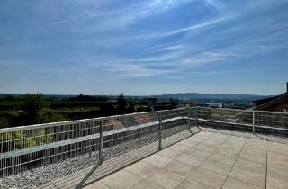 Penthouse mieten in Bründlgraben, 3500 Krems an der Donau, Erstbezug Mini Penthouse mit großer Terrasse und wunderschönem Ausblick