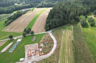 Grundstück zu kaufen in Lichtenau, Am Sonnblick 42, 3522 Lichtenau, Naturnahes Grundstück in Lichtenau