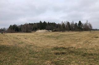 Grundstück zu kaufen in 3874 Litschau, Bauträger Grundstück 32000 m² großer aufgeschlossener Baugrund mit touristischer Widmung, Bauklasse II