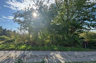 Grundstück zu kaufen in Sonnwendweg, 2111 Obergänserndorf, Baugrundstück mit Fernblick in Obergänserndorf zu verkaufen