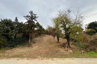 Grundstück zu kaufen in Eichbergstraße 17, 2111 Obergänserndorf, Baugrundstück in Obergänserndorf zu verkaufen