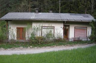 Haus kaufen in 2662 Schwarzau im Gebirge, Kleineres Haus in sehr ruhiger traumhafter Waldrandlage