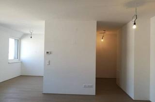 Wohnung mieten in Beingasse 15, 1150 Wien, Schöne, neue 1-Zimmer-DG-Wohnung mit Küche (Zweitbezug, provisionsfrei)