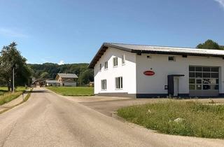 Lager kaufen in 4880 Sankt Georgen im Attergau, Vielseitige Betriebsliegenschaft Nähe A1 - St. Georgen