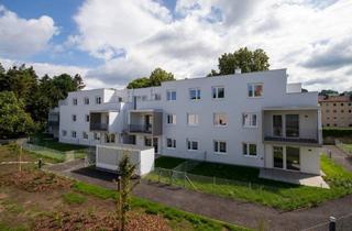 Wohnung mieten in Hammergasse 3-5/2/26, 3150 Wilhelmsburg, Schöne westseitige Dachterrassenwohnung