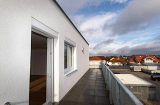 Wohnung mieten in Veilchengassse 12, 2274 Rabensburg, ERSTBEZUG: Helle Dachterrassenwohnung