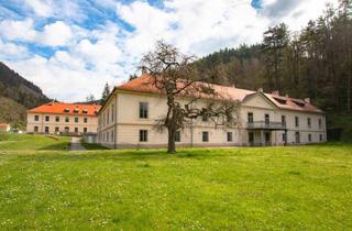 Haus kaufen in 8792 Sankt Peter-Freienstein, Wohnen und arbeiten im Schloss Freienstein