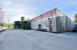 Büro zu mieten in 2384 Breitenfurt bei Wien, BÜRO - SCHAURAUM - LAGERRAUM - KOOPERATION JEDER ART