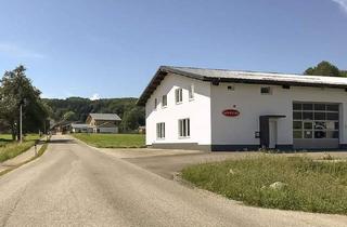 Gewerbeimmobilie kaufen in 4880 Sankt Georgen im Attergau, Vielseitige Betriebsliegenschaft Nähe A1 - St. Georgen