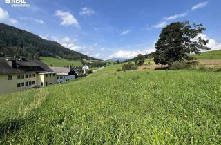 Grundstück zu kaufen in 8854 Krakaudorf, Traumhaftes Bergpanorama, Sonne, Ruhe und ein angenehmes Klima