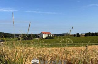 Wohnung mieten in 3532 Niedergrünbach, "Starter Wohnung - freier Blick - alles inkl. Warmwasser, Heizung und Strom + Balkon"