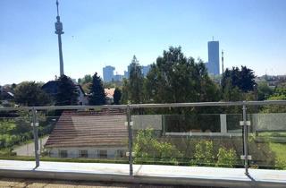 Haus mieten in Hubertusgasse, 1210 Wien, HAUS-MIETE- Wunderschönes Doppel-Haus mit herrliche Terrassen & Garten - BRUCKHAUFEN - Nähe Donauturm - Uno-City!