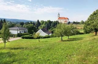 Grundstück zu kaufen in Unterleiten, 7532 Litzelsdorf, Schöner Baugrund im Ortskern von 7532 Litzelsdorf (Südburgenland)