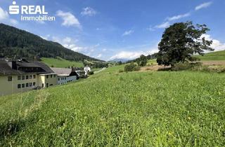 Grundstück zu kaufen in 8854 Krakaudorf, Traumhaftes Bergpanorama, Sonne, Ruhe und ein angenehmes Klima