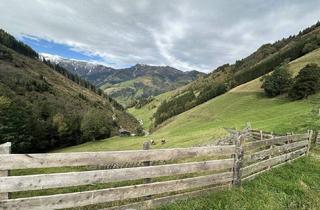 Gewerbeimmobilie kaufen in 5661 Rauris, Land- und Forstwirtschaft (ca. 11,9 ha) mit gesamter Hofstätte in ruhiger Lage von Rauris zu verkaufen