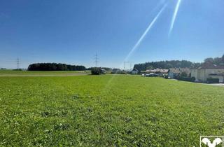 Grundstück zu kaufen in 5201 Seekirchen am Wallersee, Sonnige Baugrundstücke in Wies